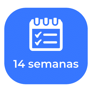 https://cienciadedatosec.com/wp-content/uploads/14-semanas-1.png